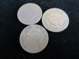 1907-1888-1905 Indian Head Pennies