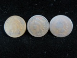 1904-1906-1881 Indian Head Pennies
