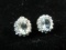 Sterling Silver Topaz Stone Earrings