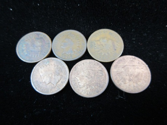 Lot of Six Indian Head Pennies As Shown