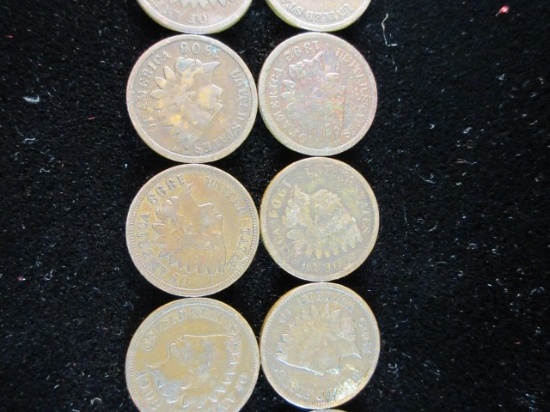 Lot of Ten Indian Head Pennies