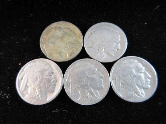 Lot of 5 Buffalo Nickels As Shown