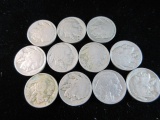 Lot of 11 Buffalo Nickels as Shown