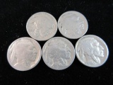 Lot of Five Buffalo Nickels