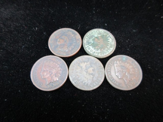 Lot of Five Indian Head Pennies as Shown