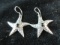 Sterling Silver Star Themed Black Onyx Stone Earrings