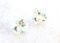 0.56 Carat Matched Pair of Fine Aquamarine Hearts