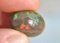 25.15 Carat Amazing Semi Black Honeycomb Opal