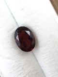 Garnet 1.01 ct