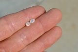 0.54 Carat Top Quality Matched Pair of Opals