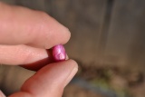 4.00 Carat Fine Star Ruby