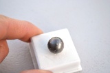 19.25 Carat Fantastic, Huge Black Pearl