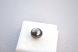 8.18 Carat Huge Black Pearl!