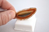 30.01 Carat Agate Slice