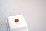 1.72 Carat Oval Cut Fine Orange Garnet