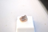 19.16 Carat Fine Botswana Banded Agate