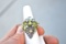 Fantastic Peridot and Topaz Sterling Silver Ring -- 5.37 Grams