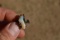 Gorgeous Freeform Opal Rough in Sterling Silver Ring -- 5.26 Grams, Size 8.25