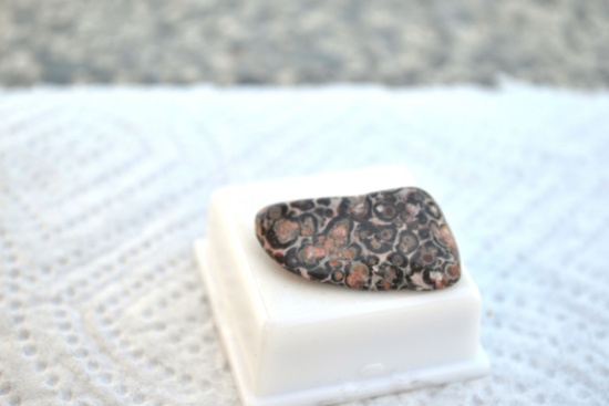 28.57 Carat Fine Leapordskin Jasper