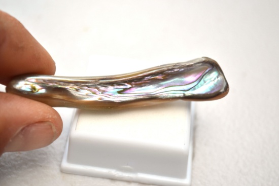 50.86 Carat Piece of Abalone Shell