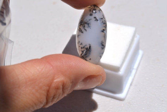 21.60 Carat Fine Dendritic Opal