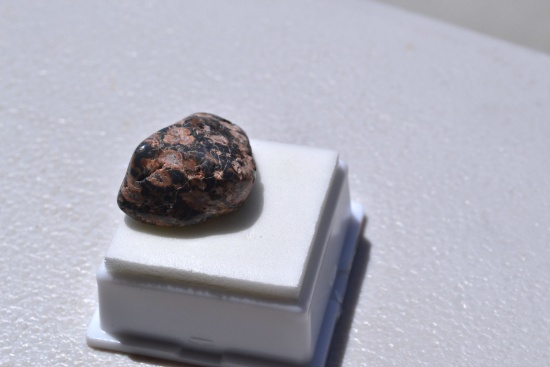 34.29 Carat Nice Leopardskin Jasper