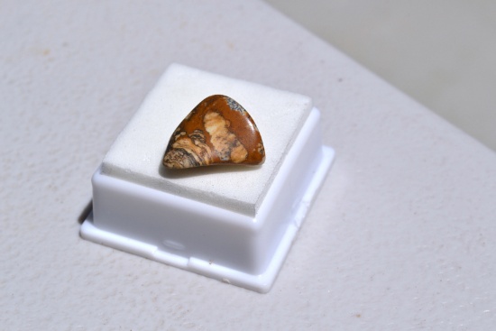 11.25 Carat Fine Scenic Jasper