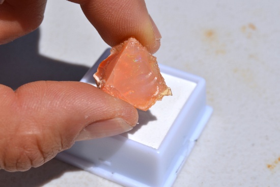 15.46 Carat Great Mexican Fire Opal Rough