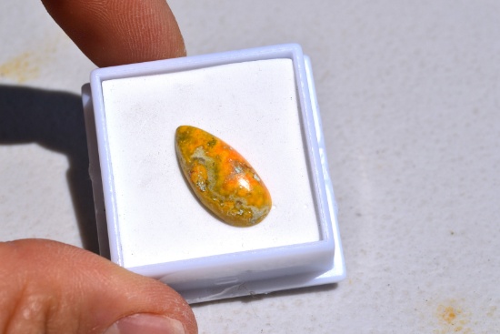 5.30 Carat Pear Bumblebee Jasper