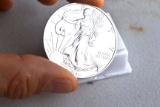 2011 Silver Eagle -- 1 Oz Fine Silver