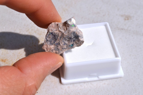 23.72 Carat Mexican Opal Embedded in Host Rock
