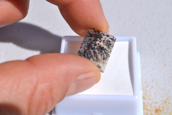 4.66 Carat Fine Dendritic Opal