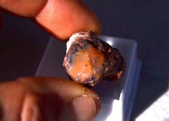 35.84 Carat Mexican Opal Embedded in Host Rock