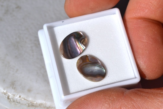 3.90 Carat Matched Pair of Beautiful Abalone Shells