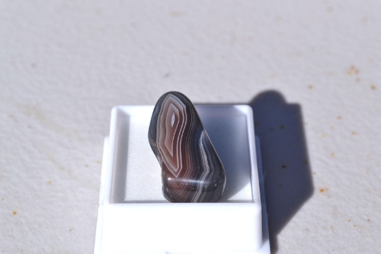 39.45 Carat Fine Botswana Banded Agate