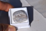 44.18 Carat Crazy Lace Agate