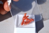 4.80 Carats of Coral Stems