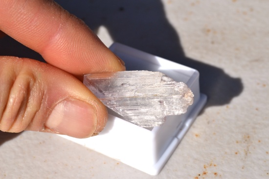 24.60 Carat Kunzite Crystal