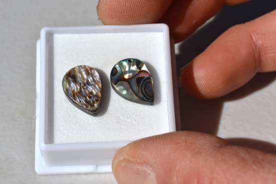 7.12 Carat Matched Pair of Abalone Shells