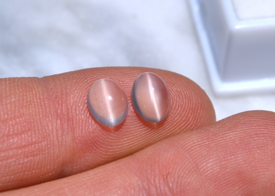 2.70 Carat Matched Pair of Cat's Eye Moonstone