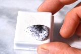 11.10 Carat Beautiful Dendritic Opal
