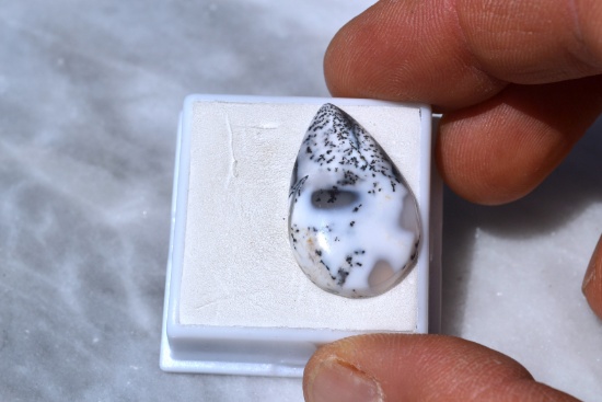 16.71 Carat Beautiful Dendritic Opal