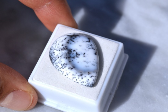 25.46 Carat Beautiful Dendritic Opal