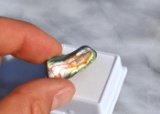 11.43 Carat Bright and Beautiful Abalone Shell