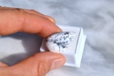 24.14 Carat Beautiful Dendritic Opal
