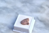 18.82 Carat Michigan Copper Nugget
