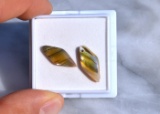 4.43 Carat Matched Pair of Abalone Shells