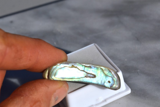 22.85 Carat Bright and Beautiful Abalone Shell