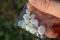 19.28 Carat Parcel of Australian Opals