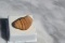 30.76 Carat Gorgeous Scenic Jasper